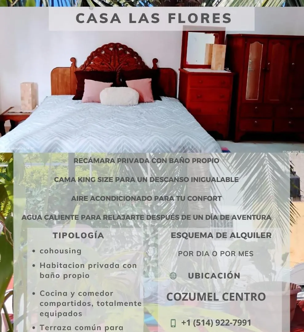 Casa Las Flores Cozumel Homestay